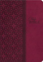 Cover art for KJV Study Bible, Leathersoft, Red/Pink, Thumb Indexed, Red Letter: Second Edition