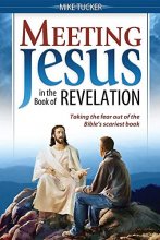 Cover art for Meeting Jesus in the Book of Revelation