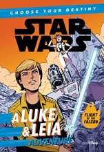 Cover art for Star Wars A Luke & Leia Adventure: A Choose Your Destiny Chapter Book