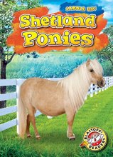 Cover art for Shetland Ponies (Blastoff Readers. Level 2: Saddle Up!)