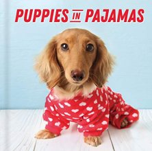 Cover art for Puppies in Pajamas