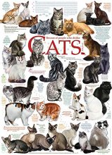 Cover art for Cobble Hill 1000 Piece Puzzle - Cat Quotes - Sample Poster Included