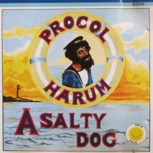 Cover art for A salty dog