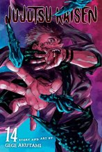 Cover art for Jujutsu Kaisen, Vol. 14 (14)