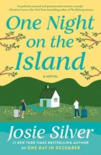 Cover art for One Night on the Island: A Novel