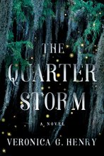 Cover art for The Quarter Storm: A Novel (Mambo Reina)