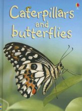 Cover art for Caterpillars and Butterflies (Beginners Nature, Level 1)