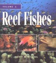 Cover art for Reef Fishes Volume 1
