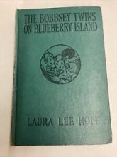 Cover art for The Bobbsey Twins on Blueberry Island