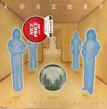 Cover art for Look Into The Future LP