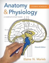 Cover art for Anatomy & Physiology Coloring Workbook: A Complete Study Guide (11th Edition)