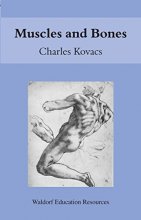 Cover art for Muscles and Bones (Waldorf Education Resources)