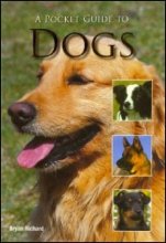Cover art for A Pocket Guide To Dogs