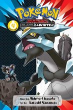 Cover art for Pokémon Adventures: Black 2 & White 2, Vol. 4 (4)