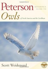 Cover art for Peterson Reference Guide To Owls Of North America And The Caribbean (Peterson Reference Guides)