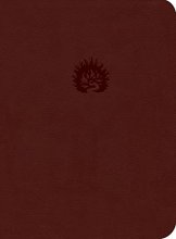 Cover art for Reformation Study Bible (2015) ESV, Leather-Like Brick Red