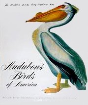 Cover art for Audubon's Birds of America