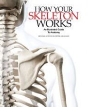 Cover art for How Your Skeleton Works