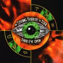 Cover art for Third Eye Open: The String Tribute to Tool