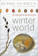 Cover art for Winter World: The Ingenuity of Animal Survival