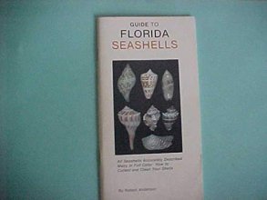 Cover art for Guide to Florida Seashells