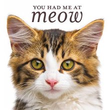Cover art for You Had Me at Meow
