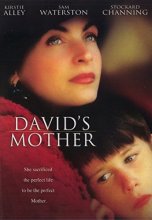 Cover art for David's Mother