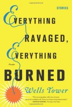 Cover art for Everything Ravaged, Everything Burned: Stories