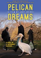 Cover art for Pelican Dreams