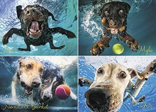 Cover art for Underwater Dogs: Splash 1000-Piece Puzzle