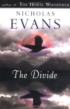 Cover art for The Divide