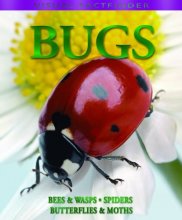 Cover art for Bugs (Bubblefacts S.)