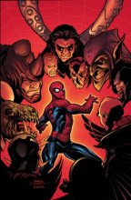 Cover art for Marvel Knights Spider-Man Vol. 3: The Last Stand