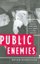 Cover art for Public Enemies: America's Greatest Crime Wave and the Birth of the FBI, 1933-34