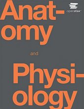 Cover art for Anatomy and Physiology by OpenStax (Official Print Version, hardcover, full color)