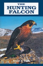 Cover art for The Hunting Falcon