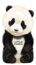 Cover art for Little Panda (Look at Me Books)