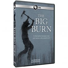 Cover art for American Experience: The Big Burn