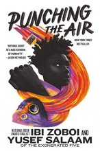 Cover art for Punching the Air