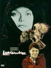 Cover art for Ladyhawke