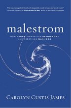 Cover art for Malestrom: How Jesus Dismantles Patriarchy and Redefines Manhood