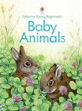Cover art for Baby Animals (Young Beginners)