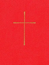 Cover art for The Book of Common Prayer (Red Leatherlook)