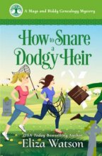Cover art for How to Snare a Dodgy Heir: A Cozy Mystery Set in Ireland (A Mags and Biddy Genealogy Mystery)