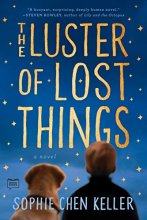 Cover art for The Luster of Lost Things