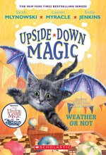 Cover art for Weather or Not (Upside-Down Magic #5) (5)