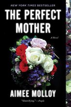 Cover art for The Perfect Mother: A Novel