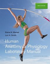 Cover art for Human Anatomy & Physiology Laboratory Manual, Main Version (11th Edition)