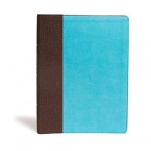 Cover art for CSB Life Essentials Interactive Study Bible, Brown/Sky LeatherTouch: 1500 Principles To Live By