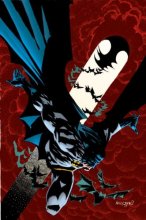 Cover art for Batman: Unseen